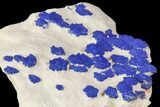 Brilliant Blue Azurite Sun Cluster On Rock - Australia #77618-1